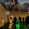 Image 11: DC LED Guided Night Tour at Washington, DC