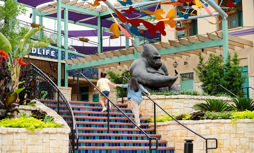 Image 8: San Antonio Zoo Discount Tickets & Savings!