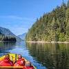 Image 4: Boat Tours: Unparalleled City & Nature Views of Vancouver