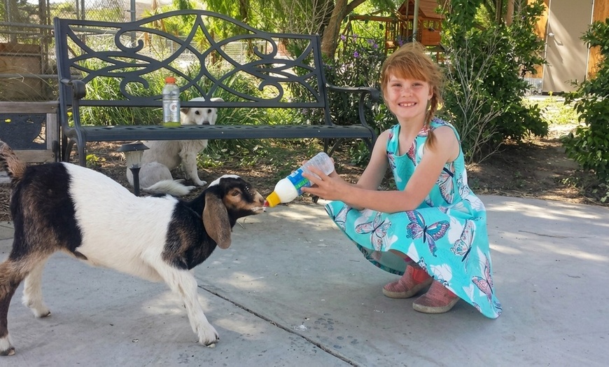 Image 4: Farm Visits & Mounted Archery – Santa Clarita
