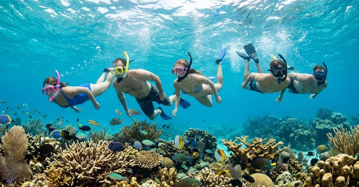 Actividad de snorkel desde barco en Altea, Alicante