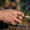 Image 8: Up to 39% Off on Archery at Invicta Sports