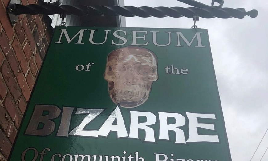 Image 3: Explore Oddities at the Museum with Admission for 3, 4, 5, or 6