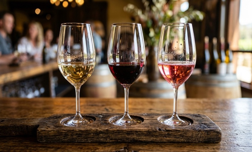 Image 2: Guided Wine Tasting Experience with Souvenir Glass Options