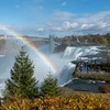 Image 3: Niagara Falls Day Trip from New York City with Amigo Tours