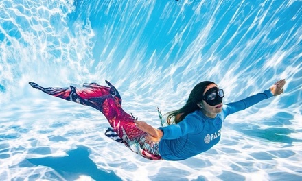 Discover Mermaid Experience - Lancaster Scuba Center