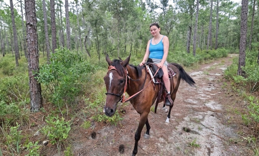 Image 7: Guided Trail Rides Through Florida's Scenic Countryside