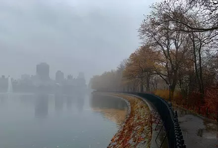 Central Park
