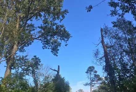 Reinstein Woods Nature Preserve