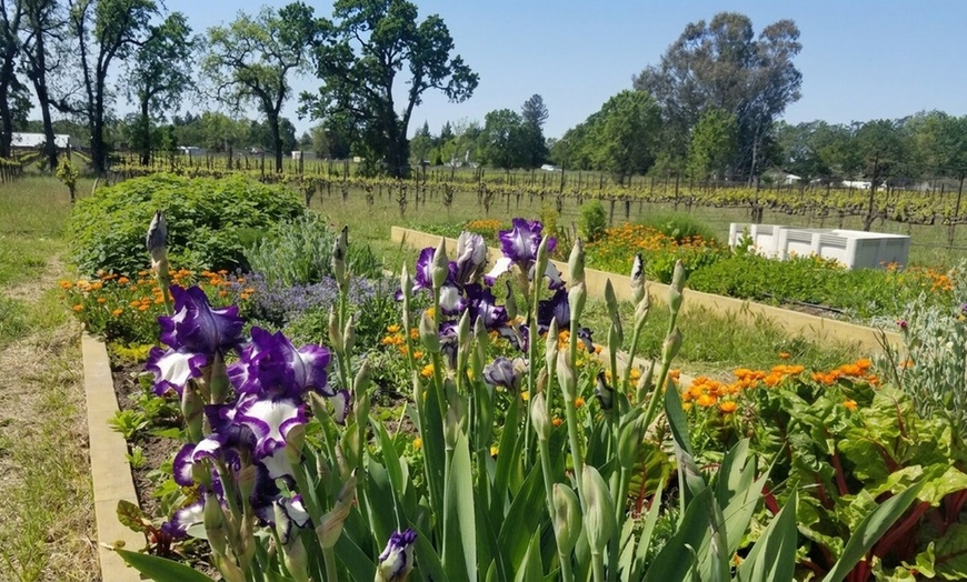 Image 3: Explore a Farm Tour with Wine and Cheese for Any Group Size