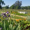 Image 3: Explore a Farm Tour with Wine and Cheese for Any Group Size
