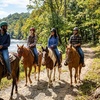 Image 5: Enjoy Scenic Horseback Riding Through Picturesque Trails