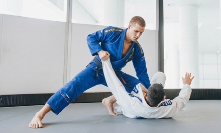 1 Beginner Brazilian Jiu Jitsu Class (Self-Defense Focus) - Steps Brazilian Jiu Jitsu