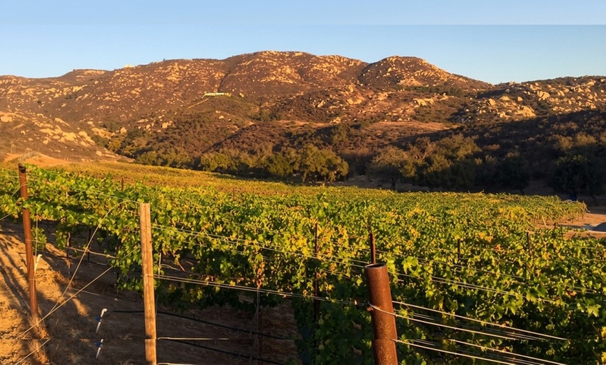Image 5: Wine Tasting and Up to $80 Towards Eight Bottles of Wine for Up to 8 