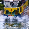 Image 6: Portland Duck Boat Tour: Land and Sea Adventure