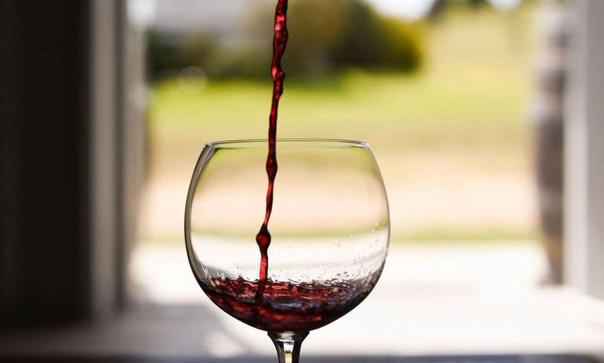 Image 7: Enjoy Wine Tasting and Take-Home Glasses with Charcuterie