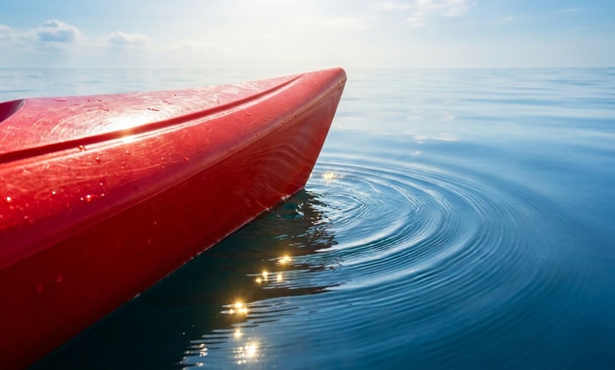 Image 4: Up to 58% Off on Kayak Rental at Sundream Duffy Boat Rentals