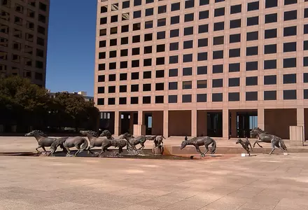 Mustangs of Las Colinas