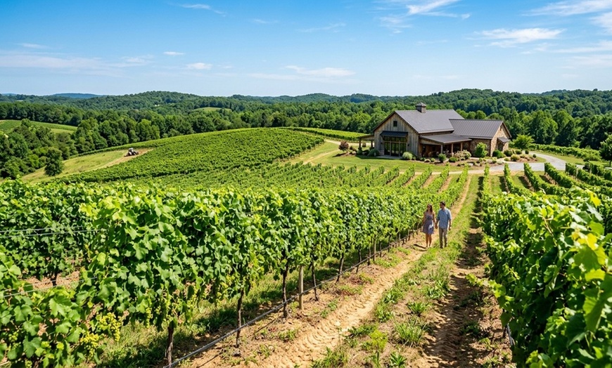 Image 4: Enjoy a Vineyard Experience with Wine Tasting and Take-Home Bottles