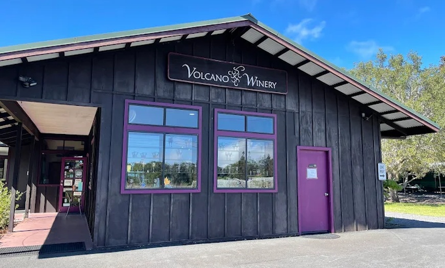 Image 2: Vineyard Tours with Wine and Tea Tastings in Scenic Setting