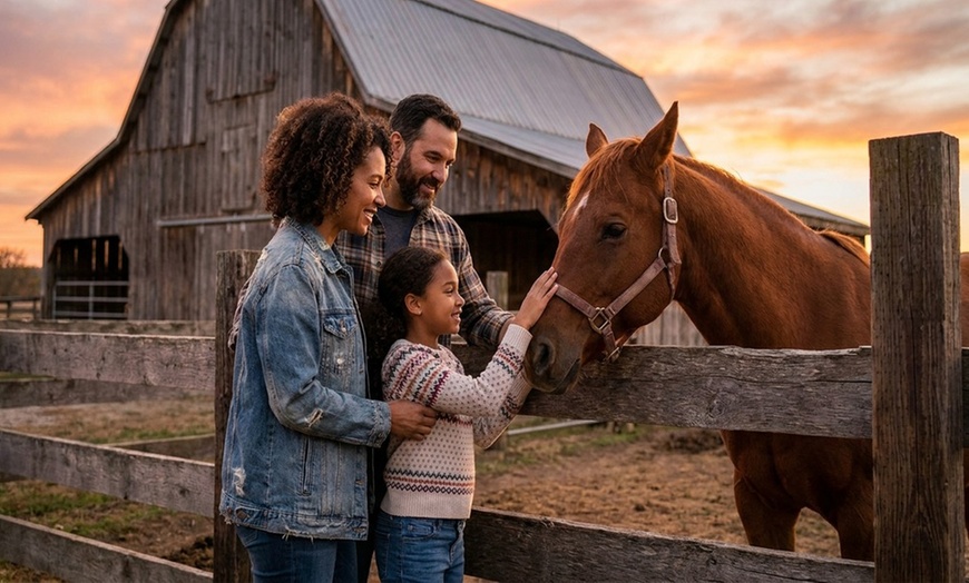 Image 2: Horseback Riding & Swimming with Horses at In The Breeze Ranch