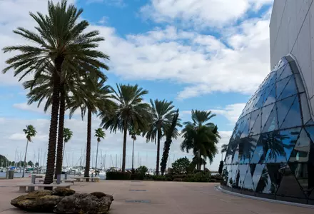 The Dali Museum