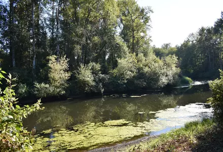 Park at Bothell Landing