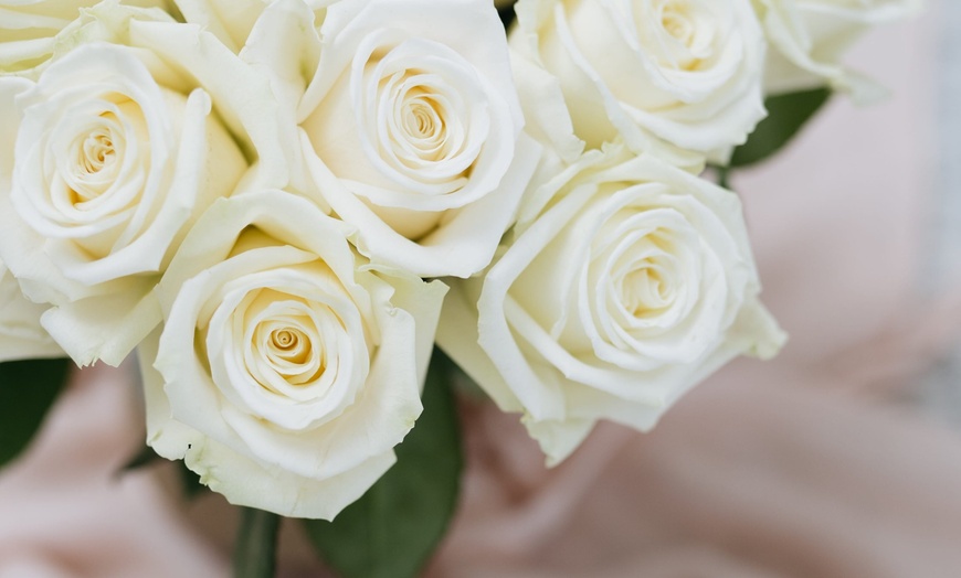 Image 26: *FLASH SALE* 24 or 36ct Roses Luxury Long Stem Rose Bouquet from Rose Farmers | Farm Fresh Roses (Up to 74% Off)
