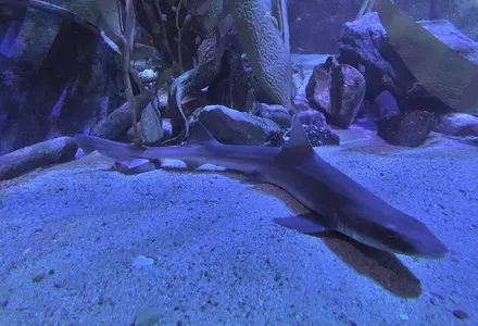 SEA LIFE Carlsbad Aquarium