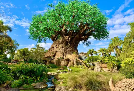 Disney's Animal Kingdom