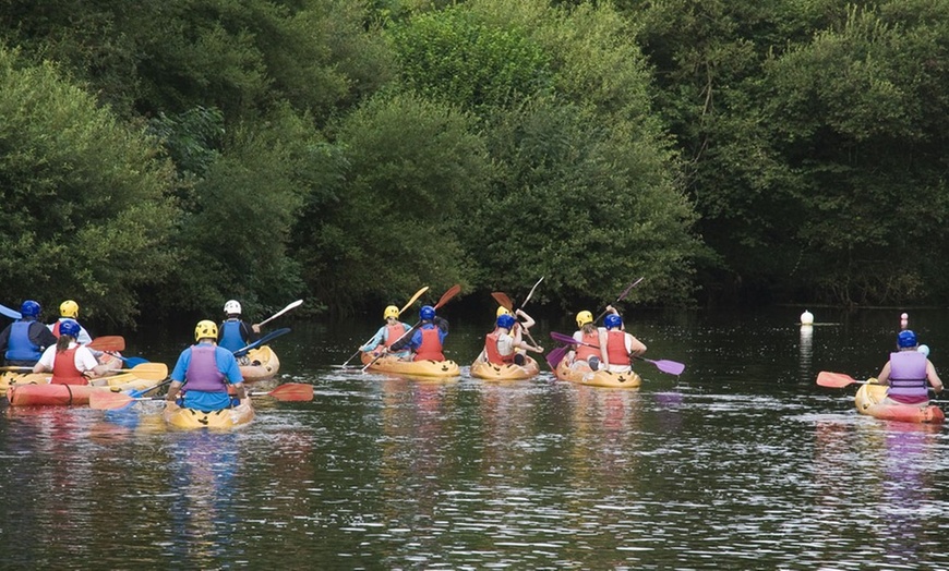 Image 6: Guided kayak tour with dolphin and manatee sightings in Cocoa Beach