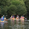 Image 6: Guided kayak tour with dolphin and manatee sightings in Cocoa Beach