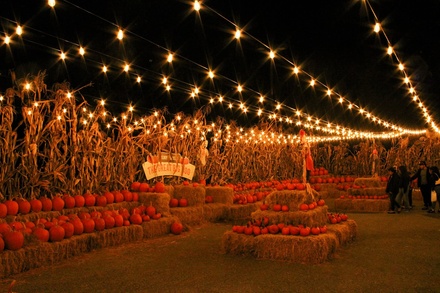 Good-Any-Day Admission - For 1 | Valid 9/1/26 - 12/31/26 - Gilroy Gardens