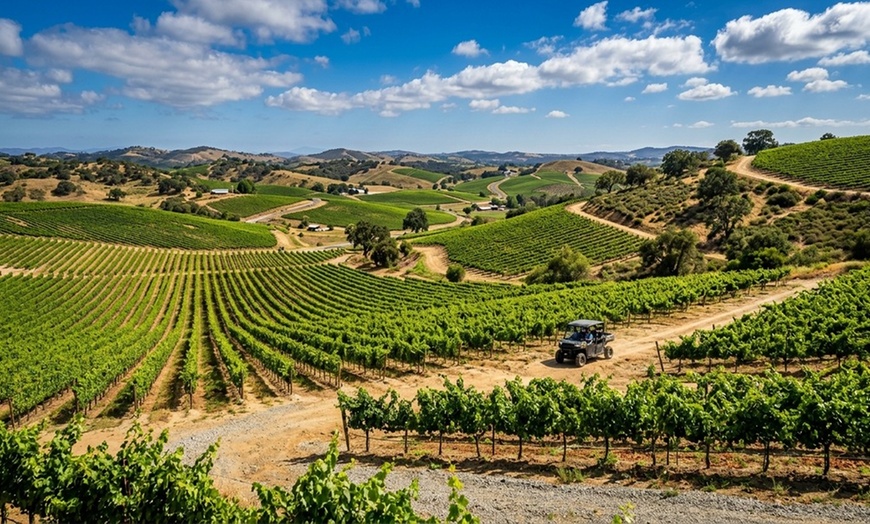 Image 4: Explore the Vineyard with a UTV Tour and Wine Tasting Adventure