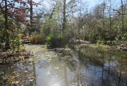 Edith L. Moore Nature Sanctuary