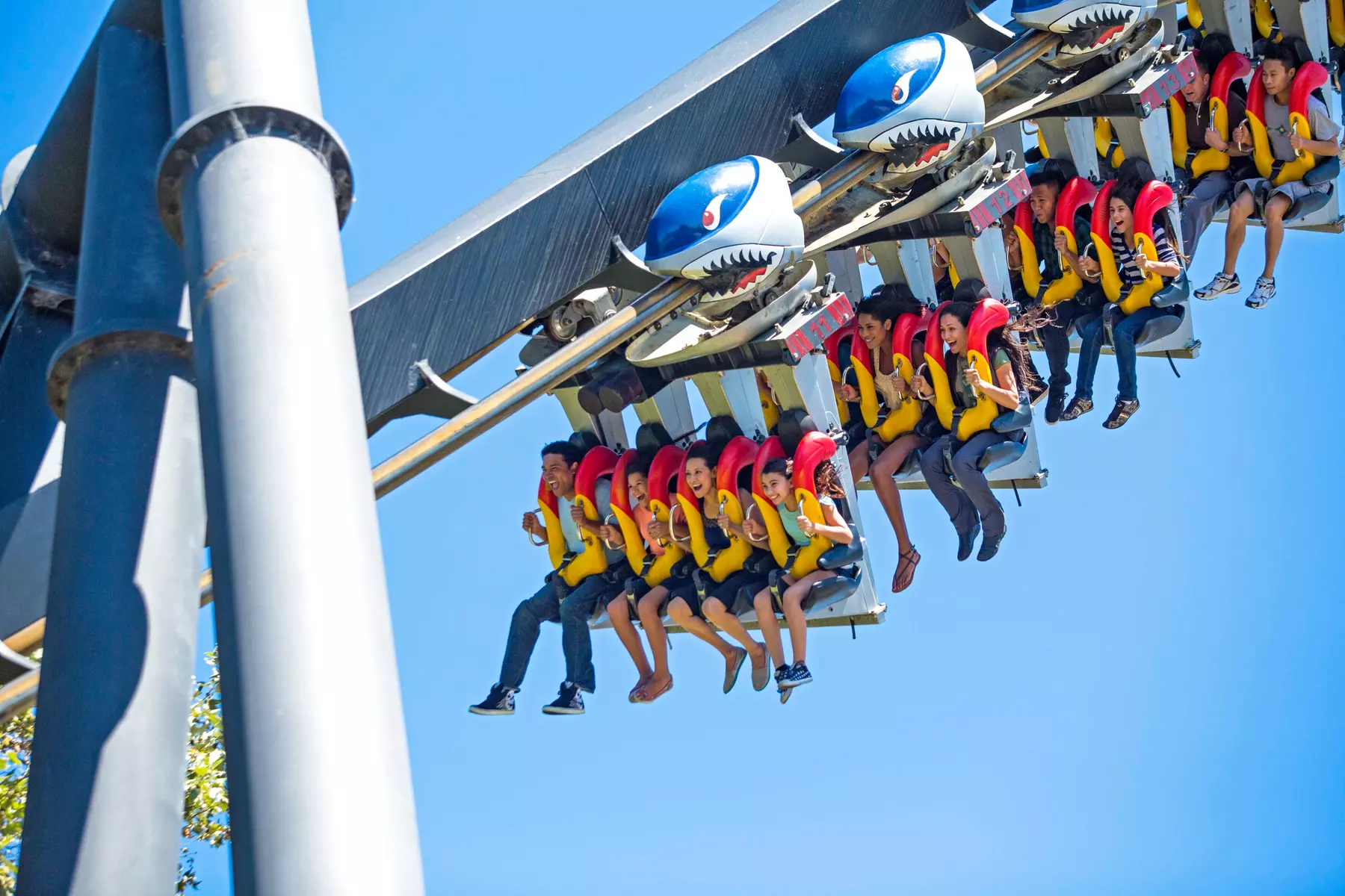 California Kids Activities - Deals & Coupons in California - Groupon