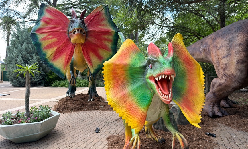 Image 6: San Antonio Zoo Discount Tickets & Savings!