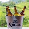 Image 15: ✈ Costa Rica: 6-Night Trip with Flights, Hotels & Rental Car