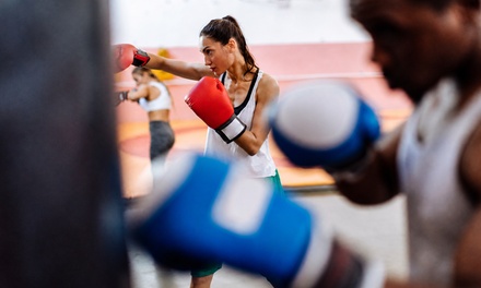 1 Group Boxing Class - Eastern Block Boxing