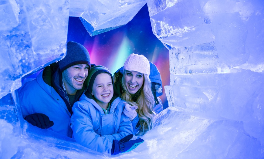 Image 5: Ticket to ice!™ featuring Harry Potter™ at Gaylord Texan Resort 