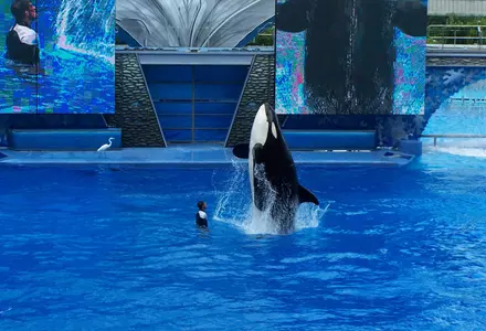 SeaWorld Orlando