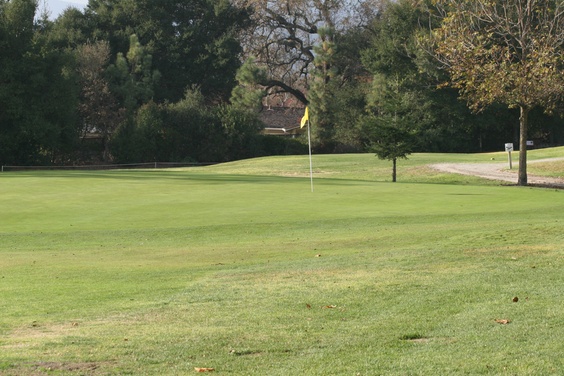 What to expect media