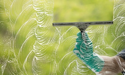 Exterior Window Cleaning up to 20 Windows - Govan s Inclusive Cleaning