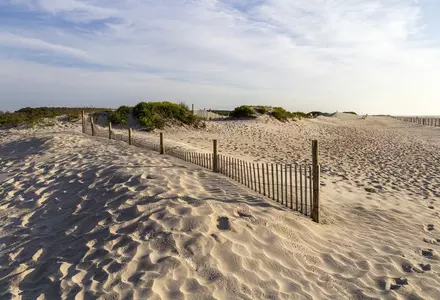 Assateague Island National Seashore
