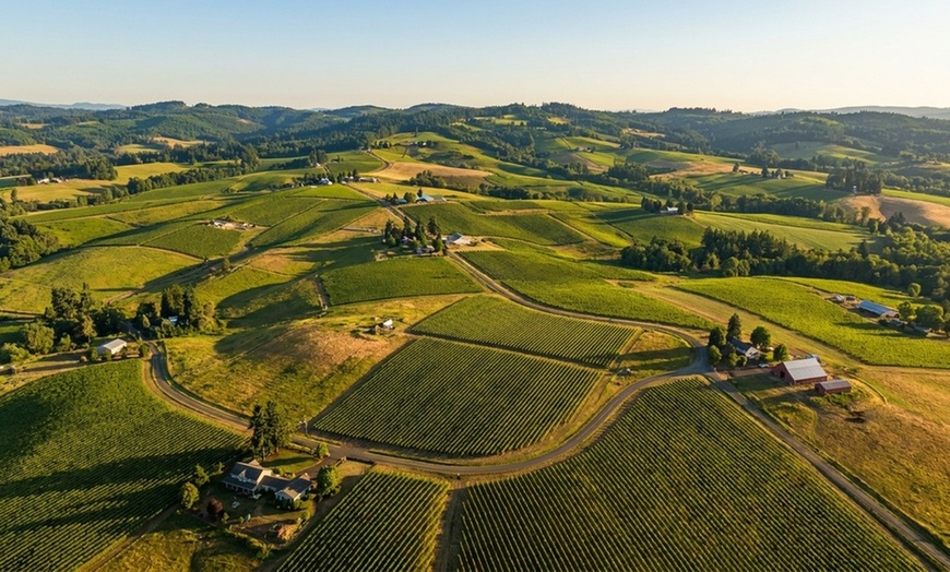 Image 8: Reserve wine tasting for two or four with wine credit included