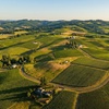 Image 8: Reserve wine tasting for two or four with wine credit included
