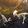Image 5: Meet Cheryll the Triceratops: Museum Admission for Up To Six People
