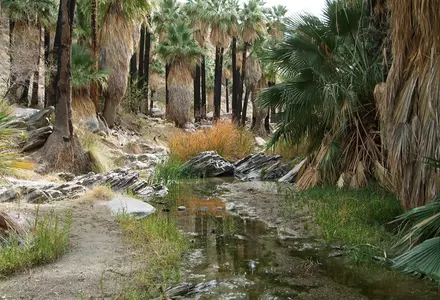 Indian Canyons