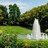 Image 3: Explore Vibrant Butterfly House, Fascinating Reptiles, & much more