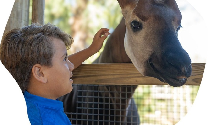 Image 4: Brevard Zoo Admission & Animal Encounters, Melbourne, FL